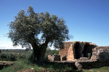 Portugal-Alto Alentejo-Royal Horse Trails